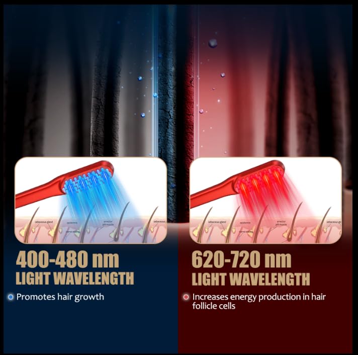 Laser-Haarwuchskamm, Rotlicht- – Hair Care Nutrition Bewertung und Preis